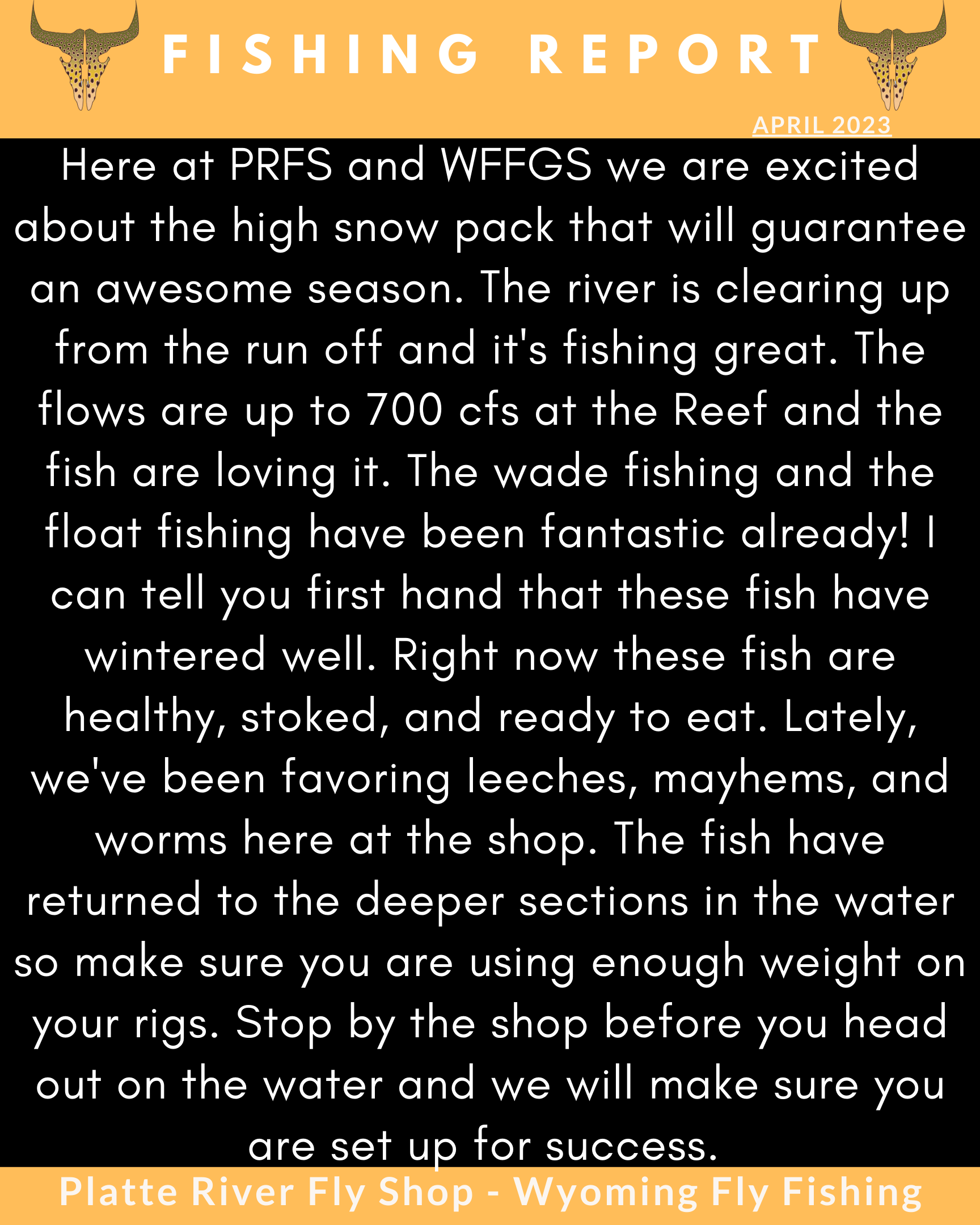 The Back Eddy April 23'