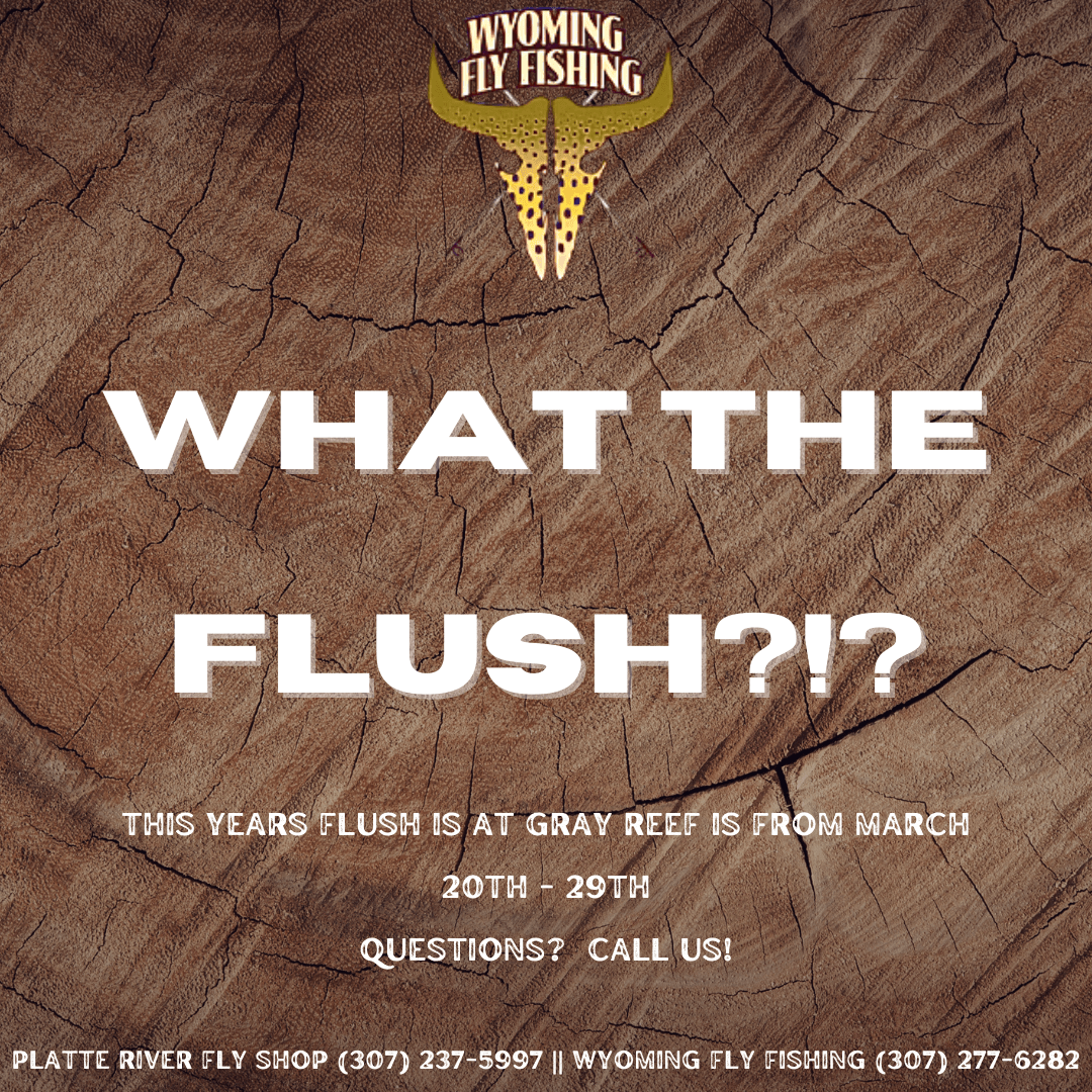 What the FLUSH?!? Gray Reef Flush March 23'