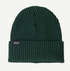 Patagonia Fisherman's Rolled Beanie Cascade Green