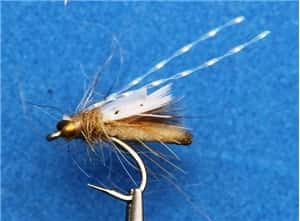 Rocky Mountain Caddis (TM)