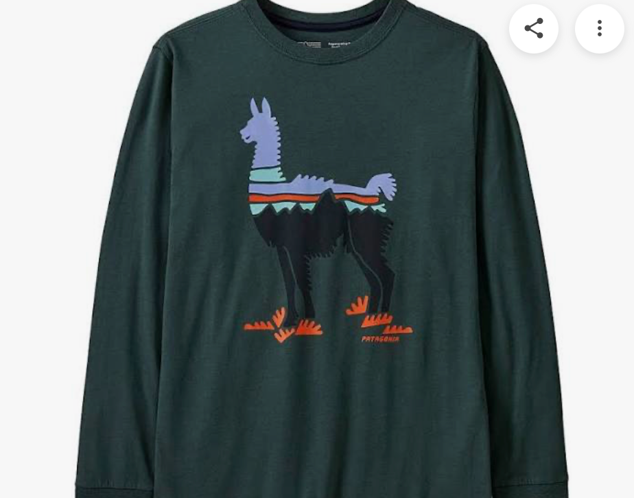 Patagonia Kid's Long Sleeved Regenerative Organic Certified Cotton Graphic T-Shirt SALE