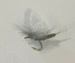 Blue Winged Olive Extended Body