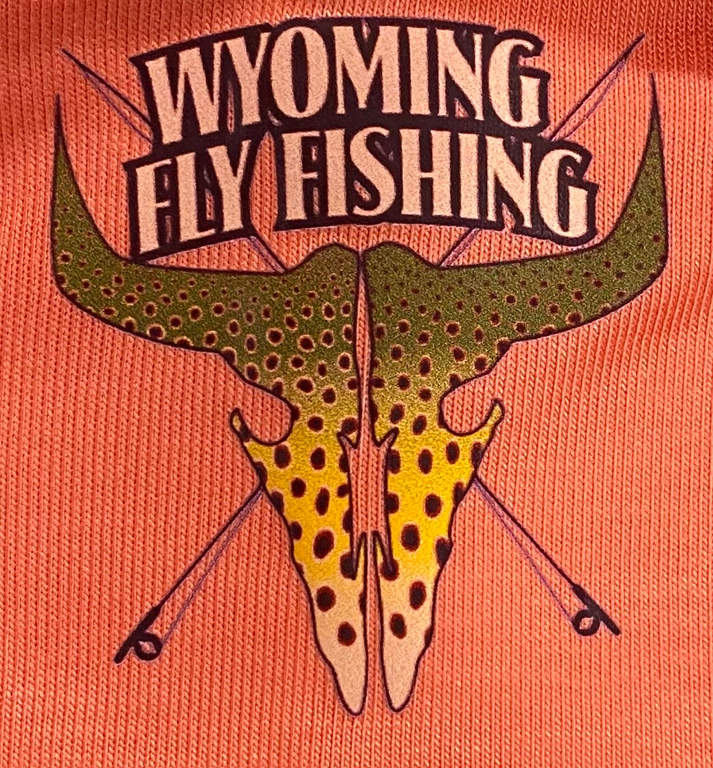 Free Fly Youth Colorblock Shade Hoody Peach Logo