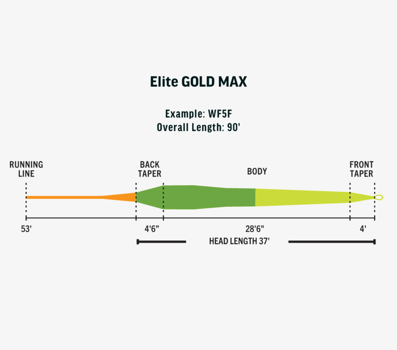Rio Elite Gold MAX Fly Line Profile