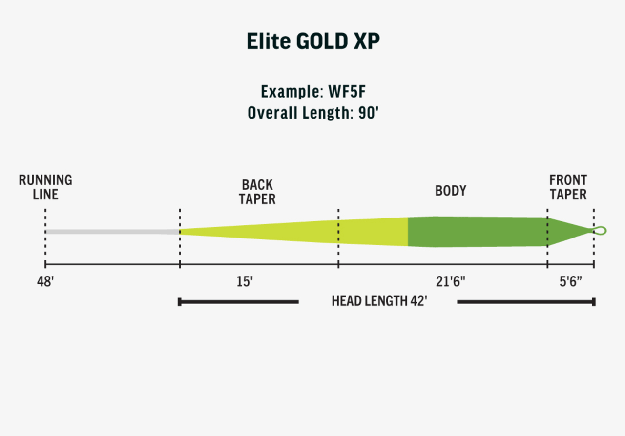 Rio Elite Gold XP Fly Line Profile