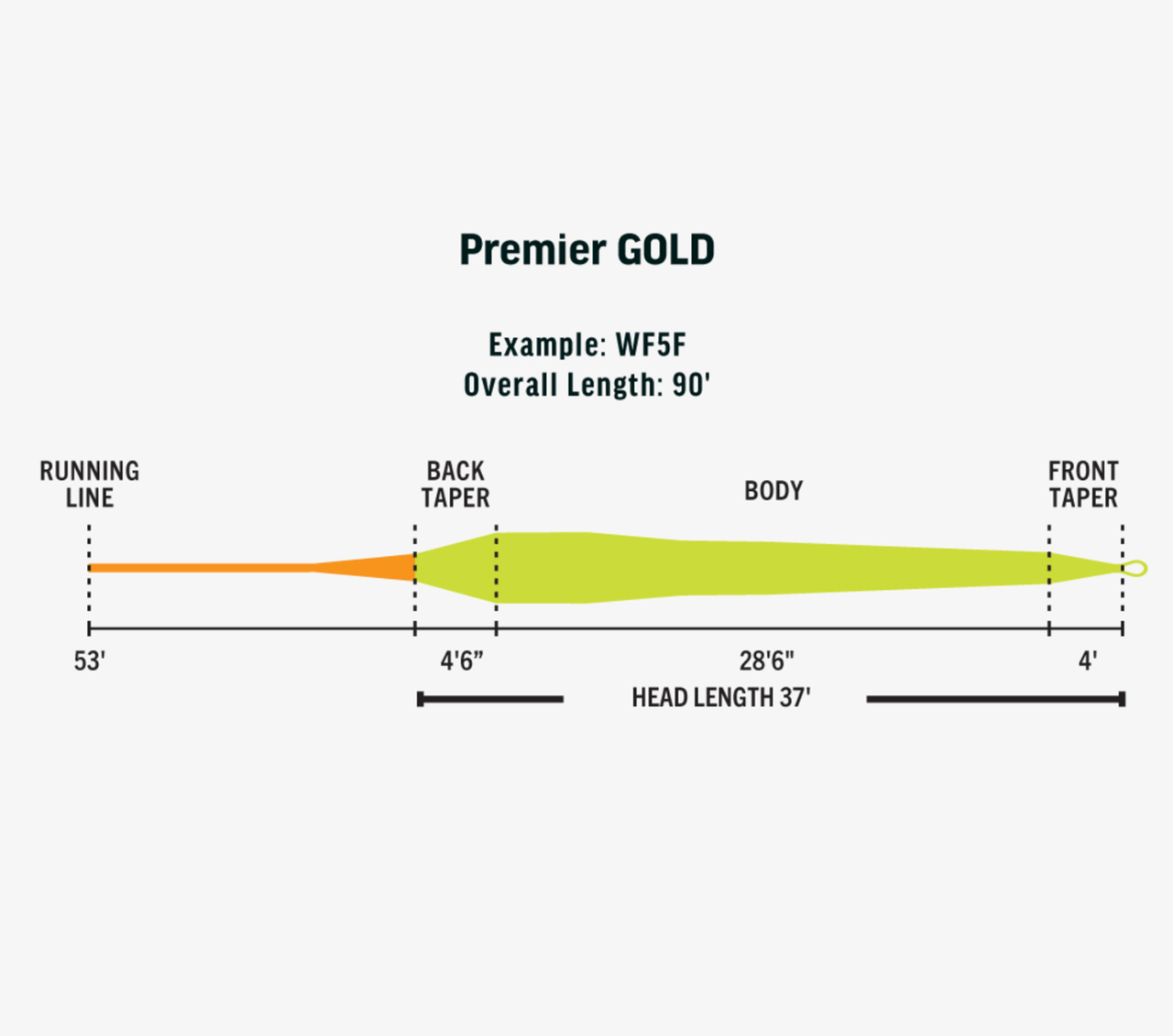 Rio Premier Gold Max Fly Line Profile