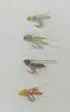 Rocky Mountain Caddis (TM)